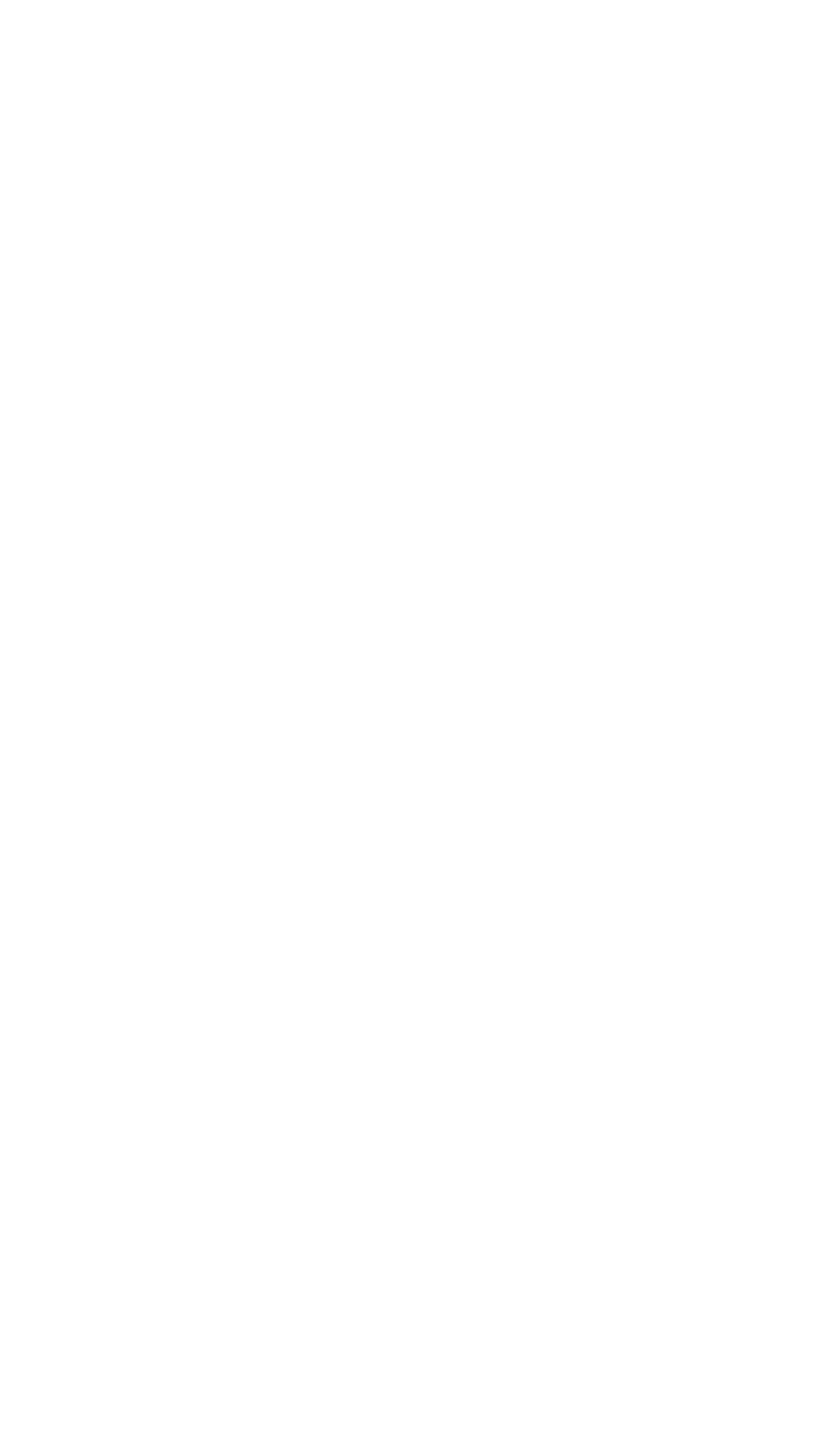Nav Phases